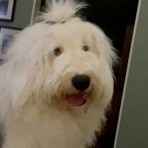 Meet your Posher, Michele